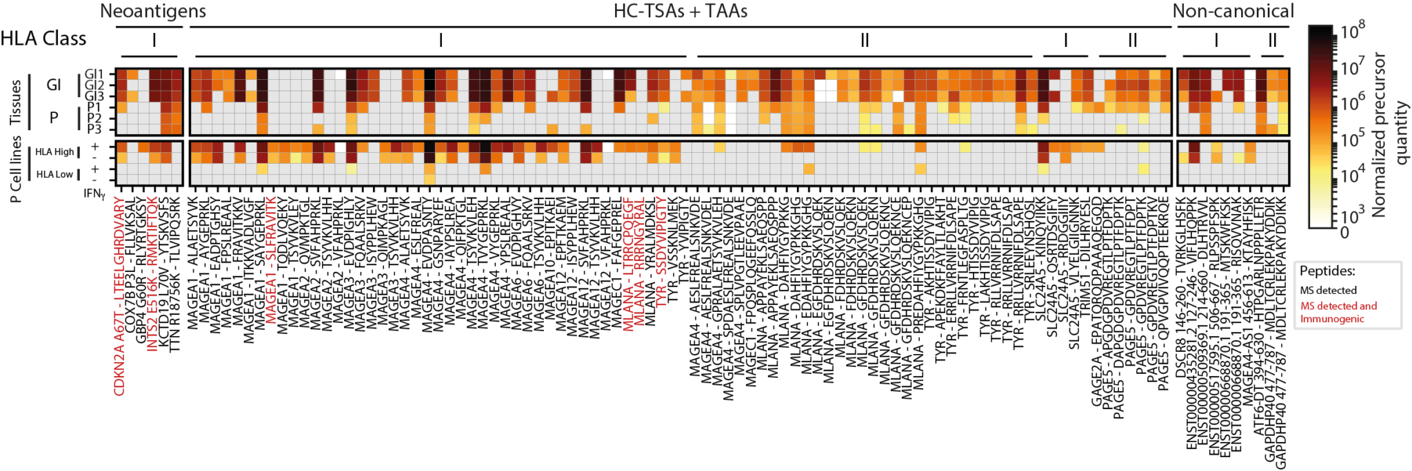 Neodisc A Neoantigen Discovery Pipeline